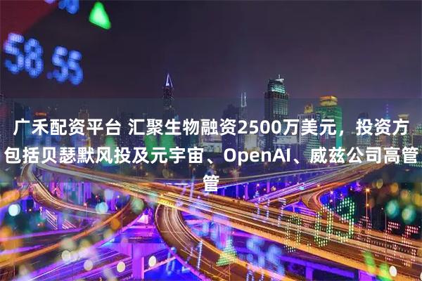 广禾配资平台 汇聚生物融资2500万美元，投资方包括贝瑟默风投及元宇宙、OpenAI、威兹公司高管