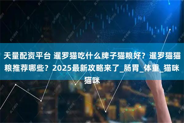 天量配资平台 暹罗猫吃什么牌子猫粮好？暹罗猫猫粮推荐哪些？2025最新攻略来了_肠胃_体重_猫咪