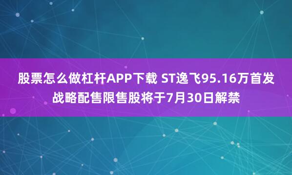 股票怎么做杠杆APP下载 ST逸飞95.16万首发战略配售限售股将于7月30日解禁