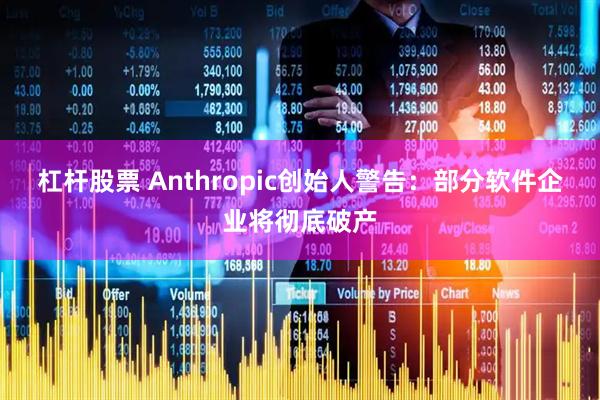 杠杆股票 Anthropic创始人警告：部分软件企业将彻底破产